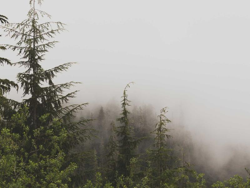 Discord账号注册<br>2026最新过验证注册完整教程